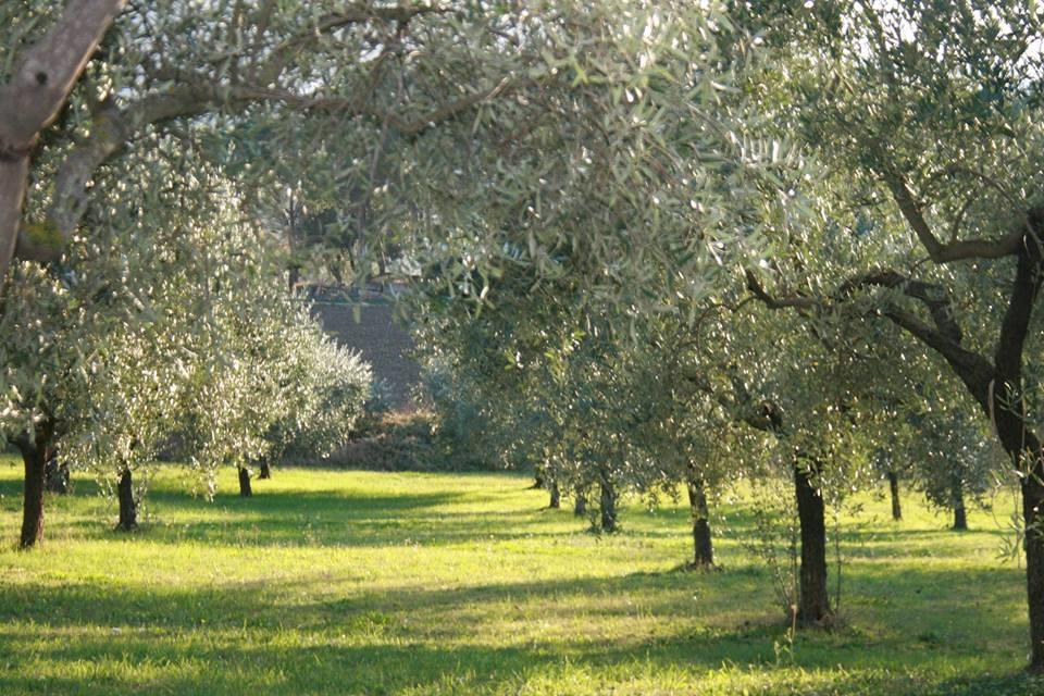 Casolare Santa Margherita Holiday home